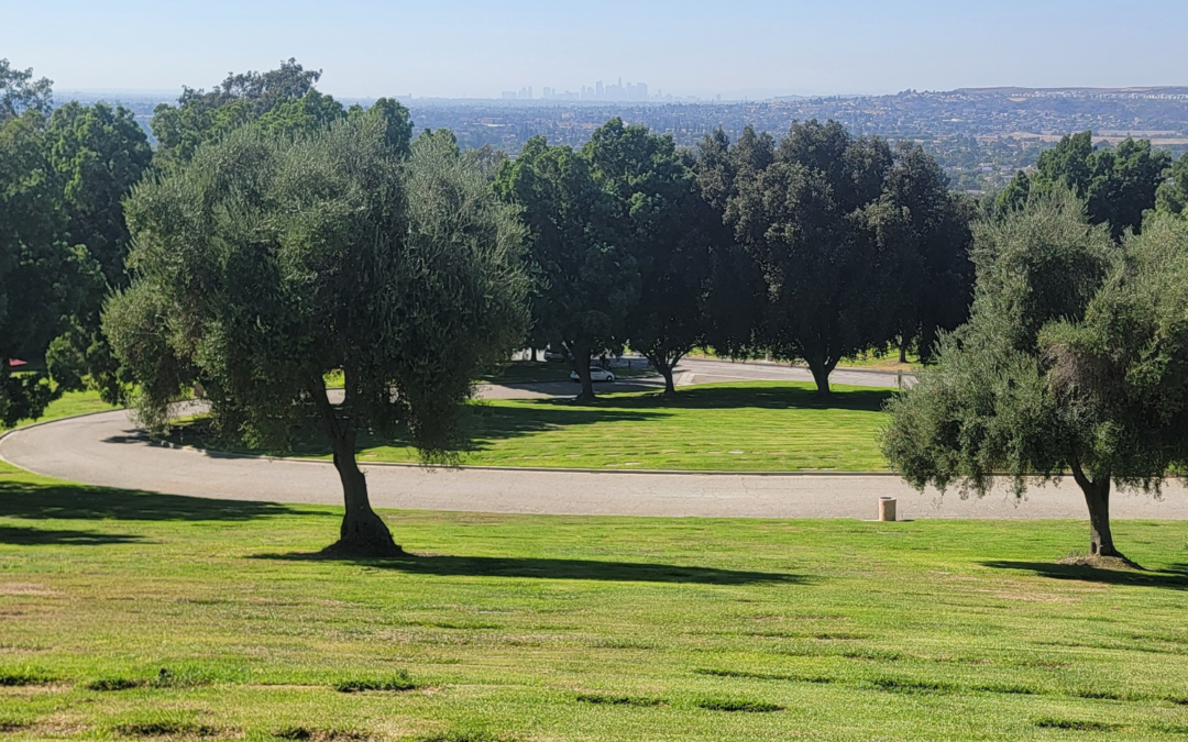 A Final Resting Place for James Elbert Gaines
