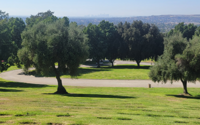 A Final Resting Place for James Elbert Gaines